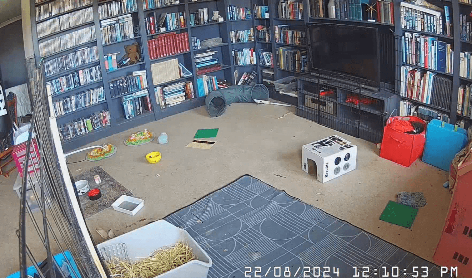 6 Hay Mix